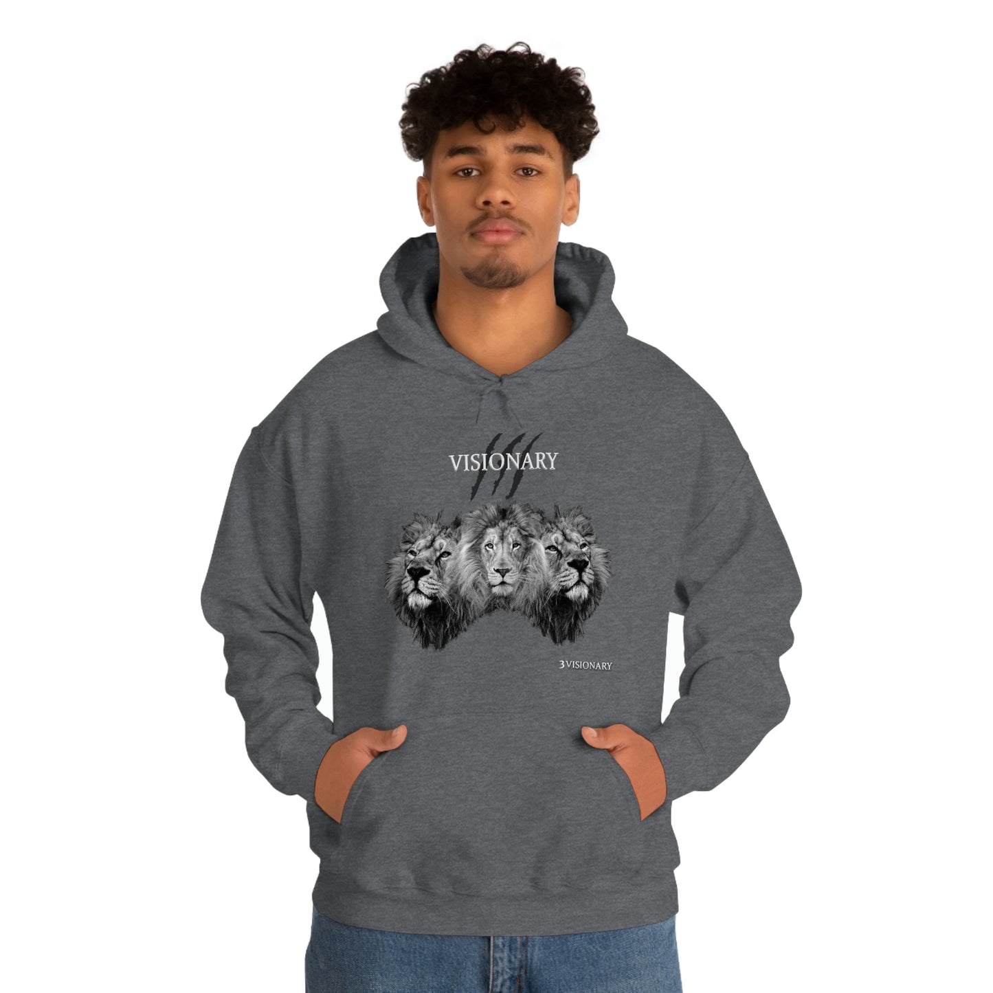 3Visionary Lion Hoodie