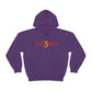 3Visionary Hoodie