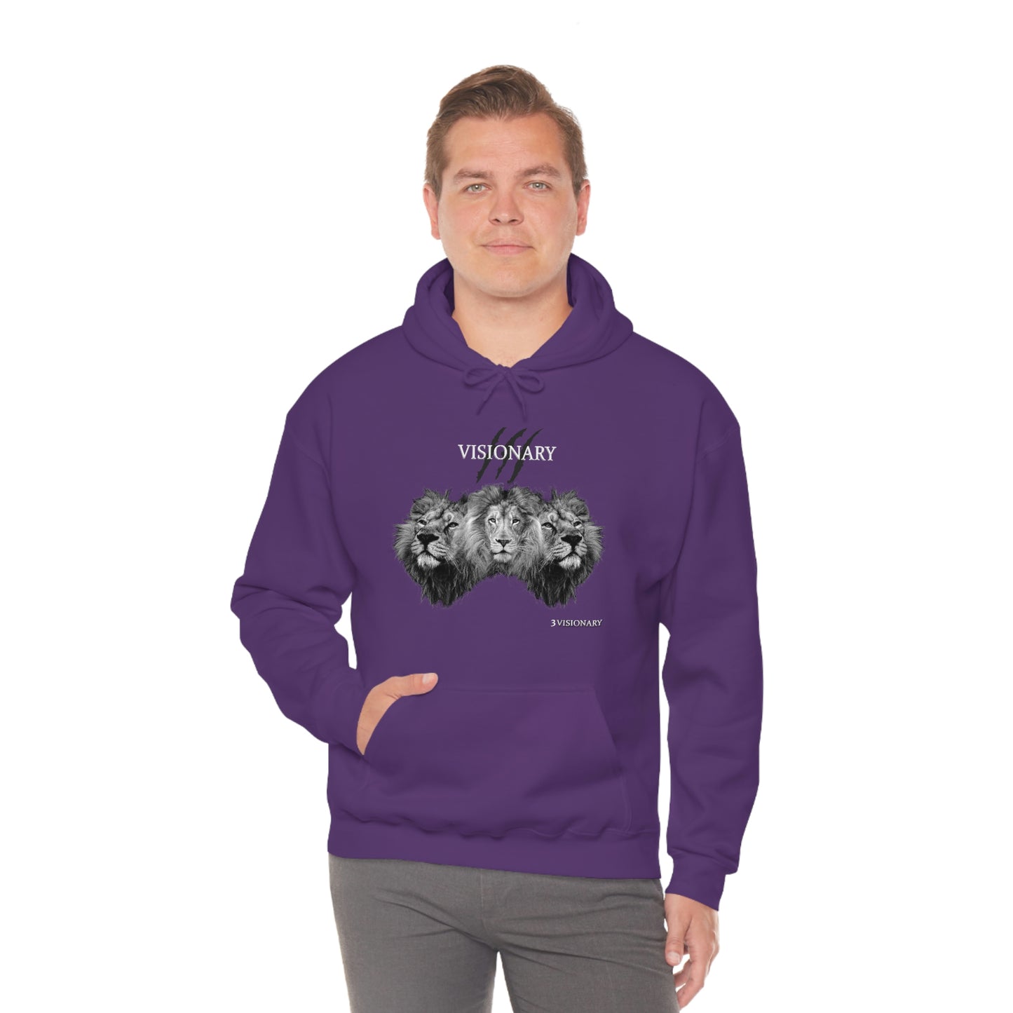 3Visionary Lion Hoodie