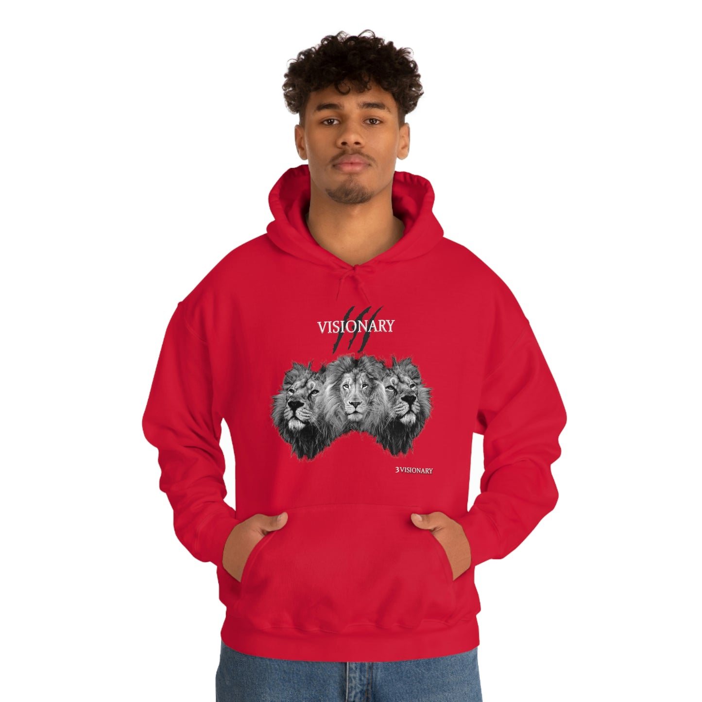 3Visionary Lion Hoodie