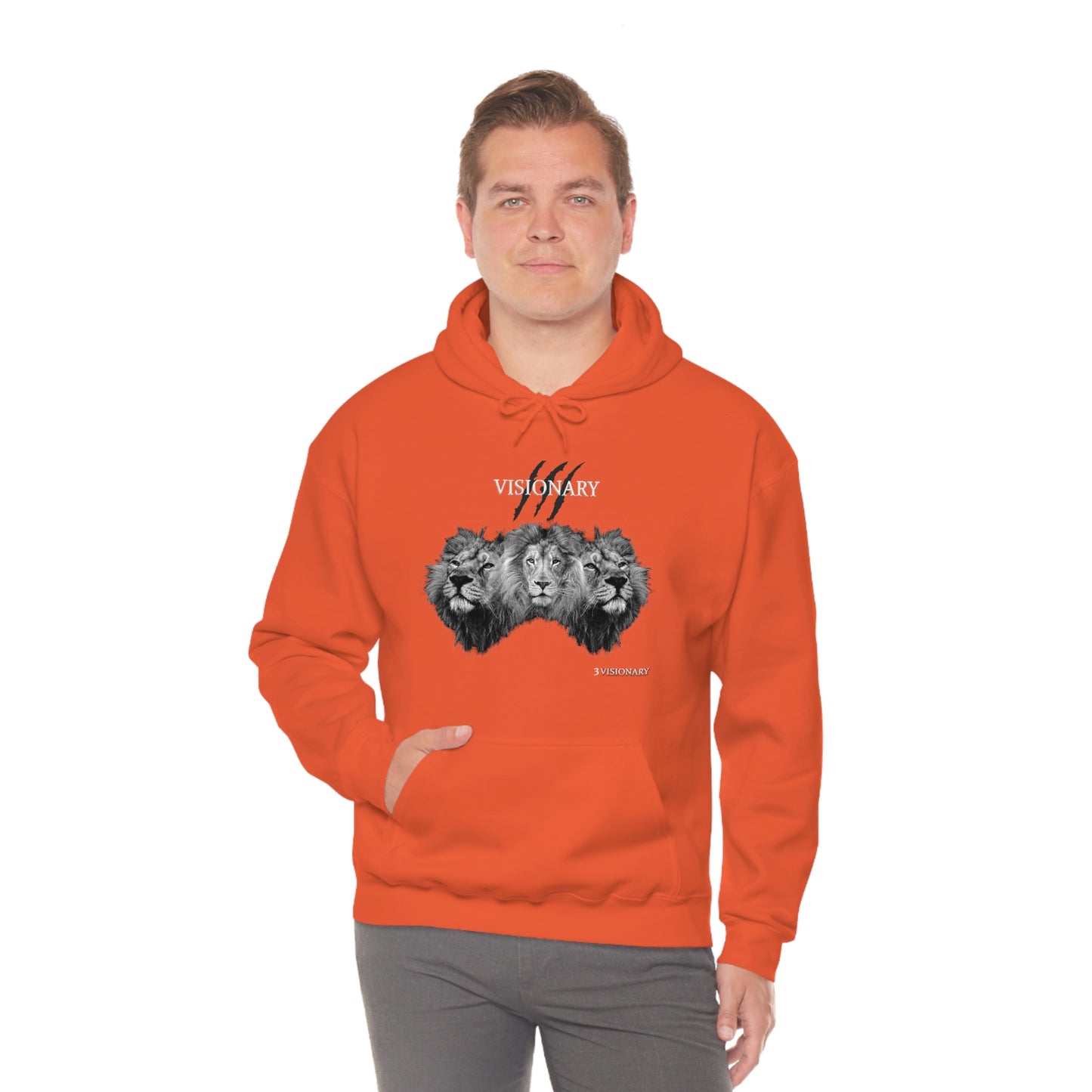3Visionary Lion Hoodie