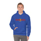 3Visionary Hoodie