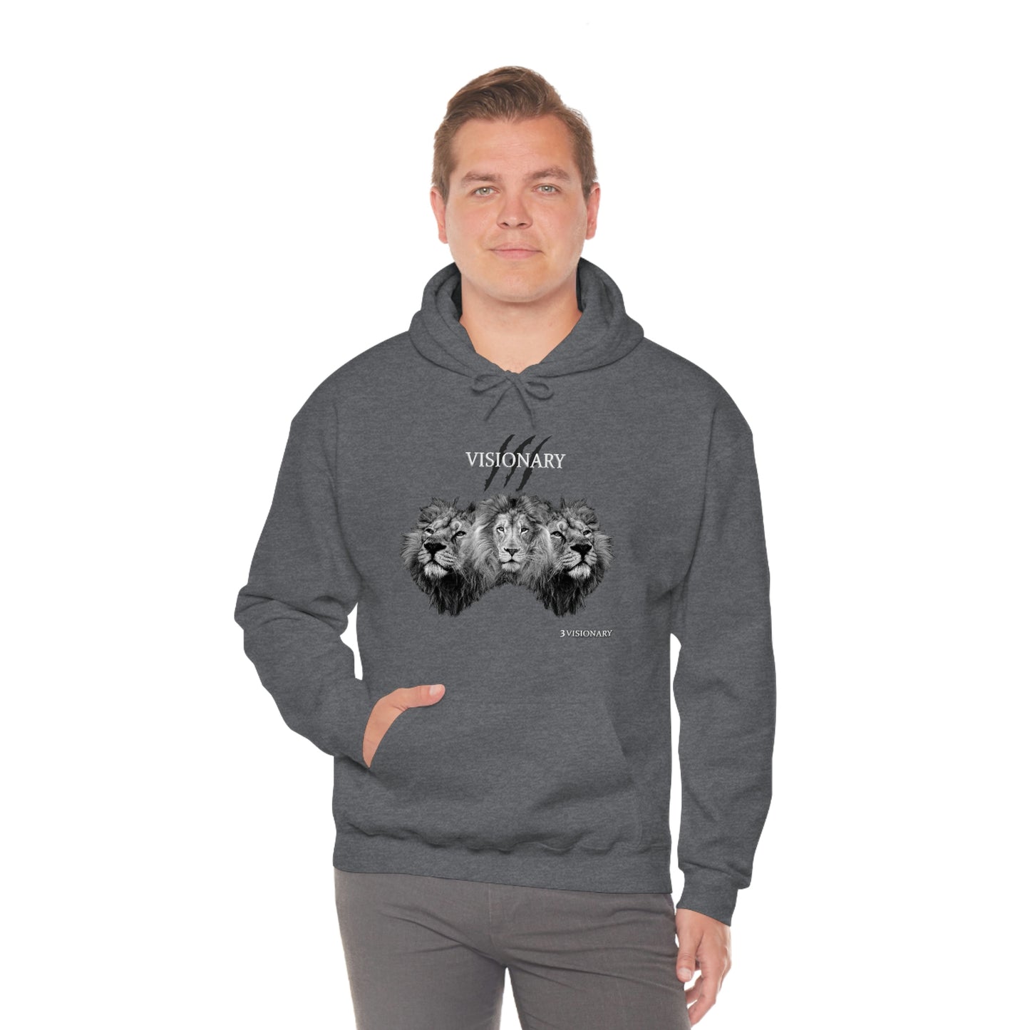 3Visionary Lion Hoodie